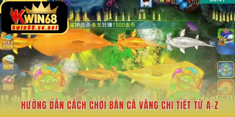 Hướng dẫn chơi giúp làm chủ các quy tắc bắn cá vàng hiệu quả
