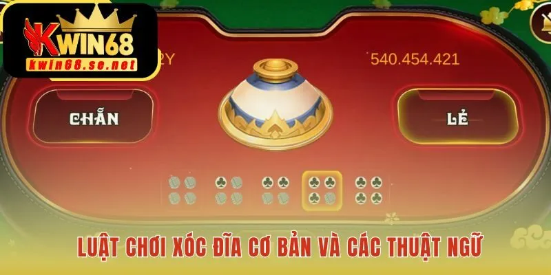 Cách chơi xóc đĩa đòi hỏi hiểu rõ dụng cụ và cửa cược